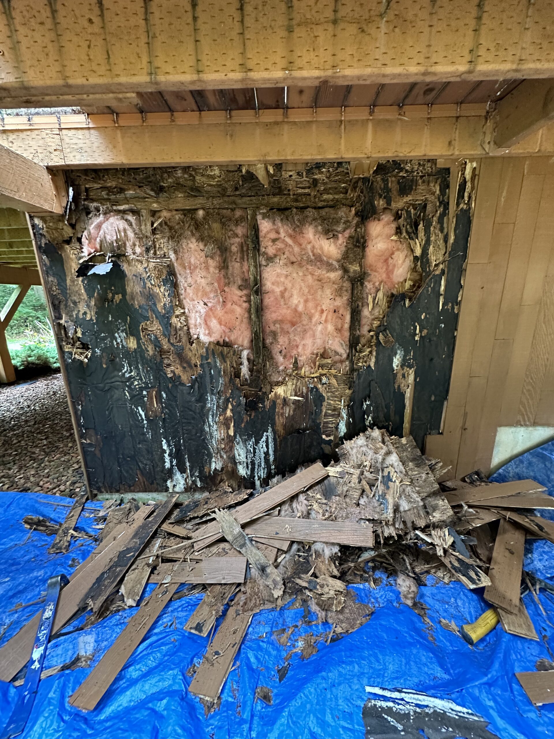 4D1E148F-14AA-4DC5-AAA4-1E0F9FA90A6A